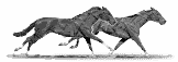 gallopinghorses.gif