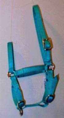 image1.jpg