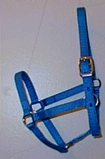 image3.jpg